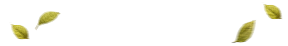 SEMANA DO MEIO AMBIENTE